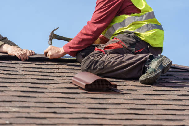 Best Roof Leak Repair  in Safety Harbor, FL