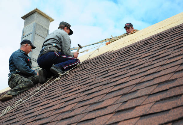 Best Roof Leak Repair  in Safety Harbor, FL